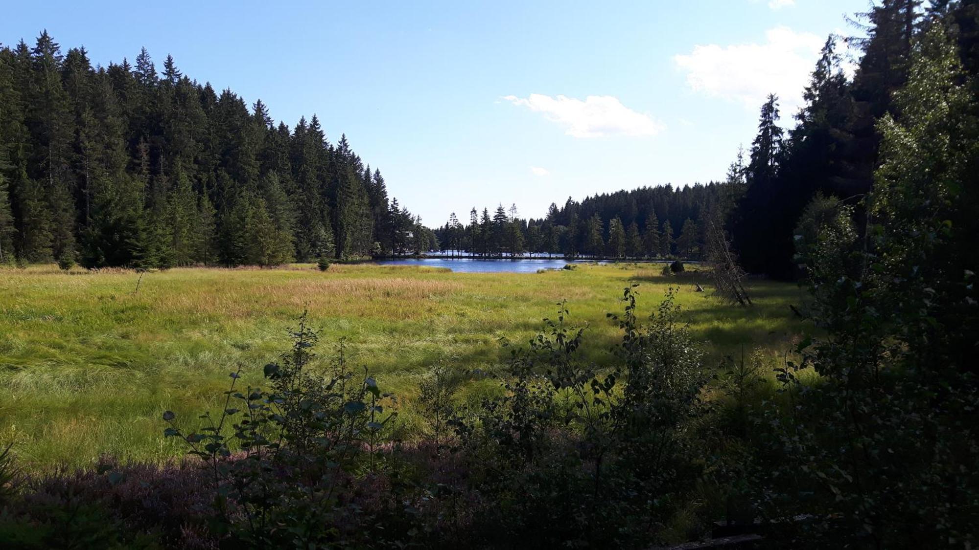 Ferienwohnung Im Bauernhaus Im Fichtelgebirge Gefrees Εξωτερικό φωτογραφία